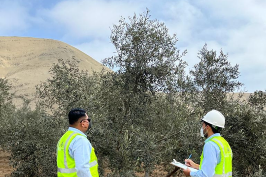 EVALUACION DE HUELLA DE CARBONO